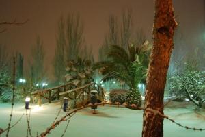 nevada de enero de 2010