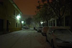 nevada de enero de 2010