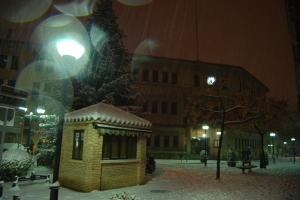 nevada de enero de 2010