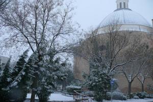 nevada de enero de 2010