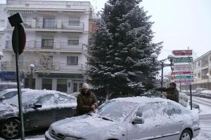 nevada de enero de 2010