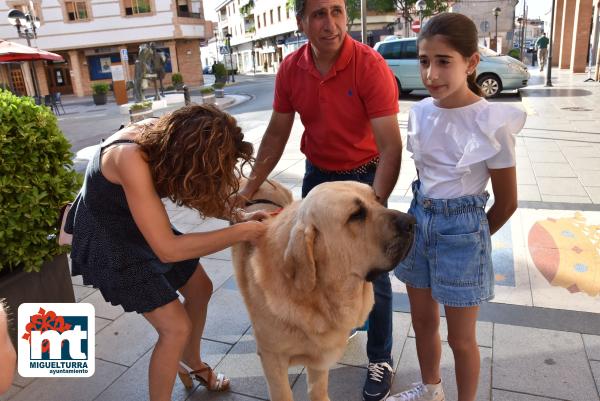 Ganador Mundial perro-julio2022-Fuente imagen Área de Comunicación Ayuntamiento Miguelturra-001