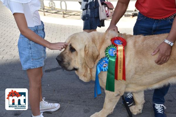 Ganador Mundial perro-julio2022-Fuente imagen Área de Comunicación Ayuntamiento Miguelturra-022