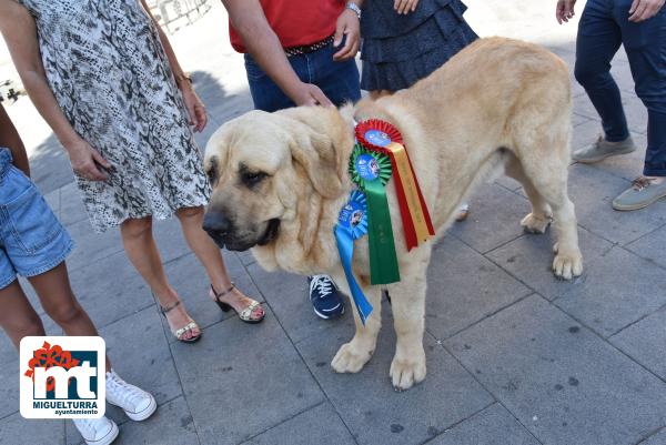 Ganador Mundial perro-julio2022-Fuente imagen Área de Comunicación Ayuntamiento Miguelturra-025