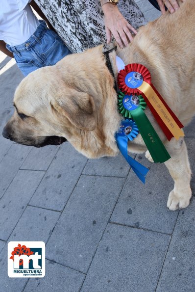 Ganador Mundial perro-julio2022-Fuente imagen Área de Comunicación Ayuntamiento Miguelturra-026