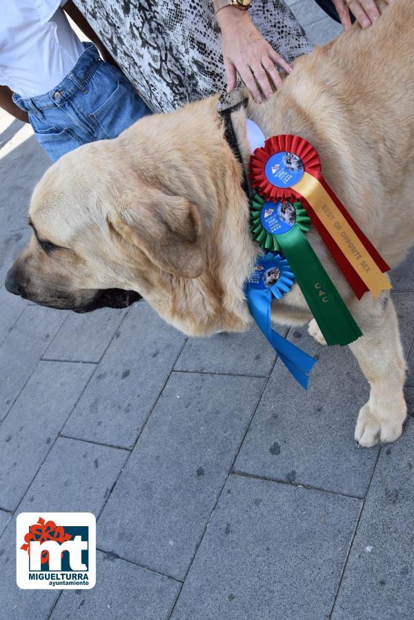 Ganador Mundial perro-julio2022-Fuente imagen Área de Comunicación Ayuntamiento Miguelturra-026