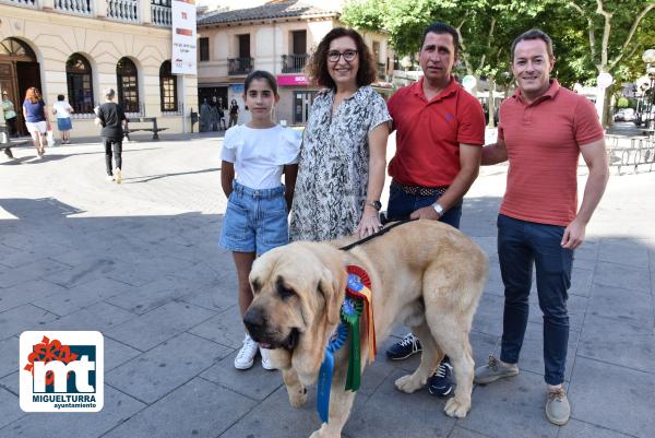 Ganador Mundial perro-julio2022-Fuente imagen Área de Comunicación Ayuntamiento Miguelturra-027
