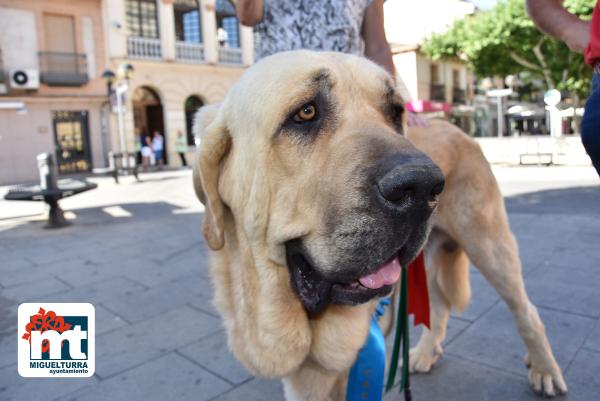Ganador Mundial perro-julio2022-Fuente imagen Área de Comunicación Ayuntamiento Miguelturra-030