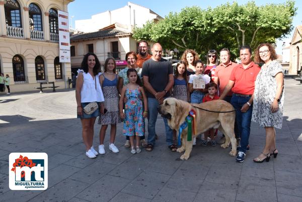 Ganador Mundial perro-julio2022-Fuente imagen Área de Comunicación Ayuntamiento Miguelturra-031