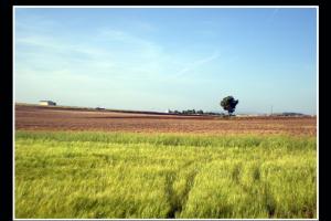postales