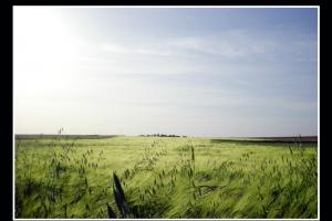 postales postales