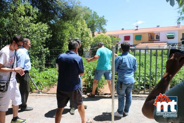 El huerto del abuelo de Miguelturra en television castilla la mancha-julio 2018-fuente imagenes Area de Comunicación Municipal-005