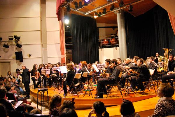 Concierto de la Banda Sinfonica Juvenil de Miguelturra - 2015-02-07- fuente Esmeralda Muñoz Sanchez - 15