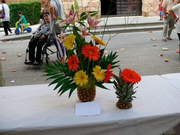 concurso centros florales-2013-06-10-fuente Area Comunicacion Municipal-016